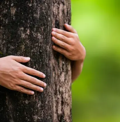 Estamos comprometidos con la innovación y la sostenibilidad.